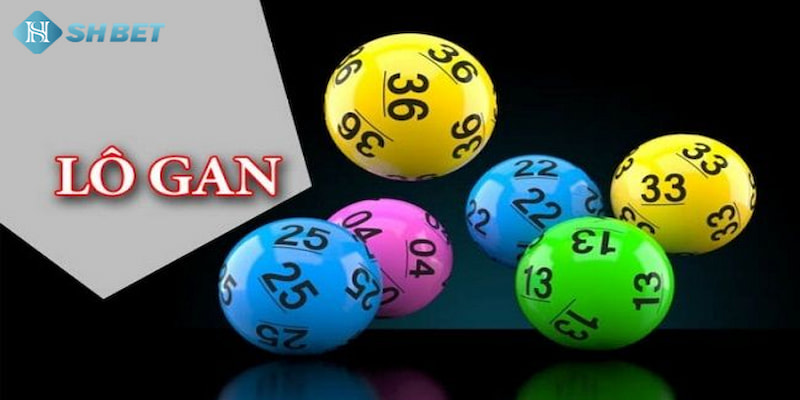 Banner www.bachia.vn