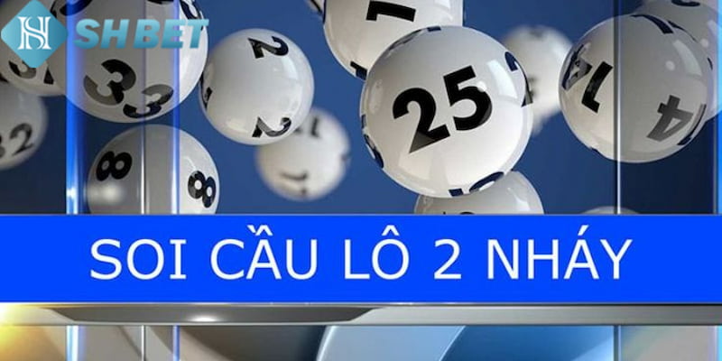 Banner www.bachia.vn