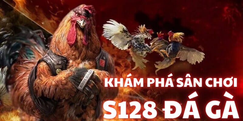 Banner www.bachia.vn