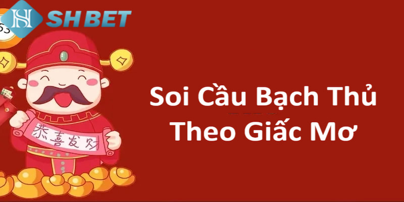 Banner www.bachia.vn