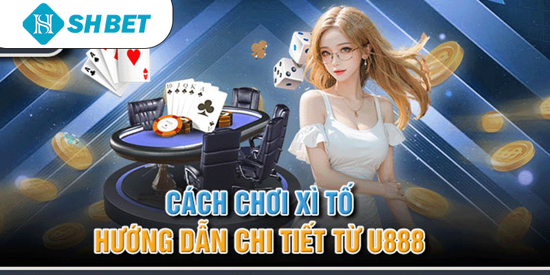 Banner www.bachia.vn