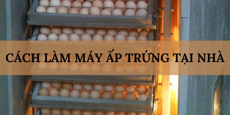 Banner www.bachia.vn