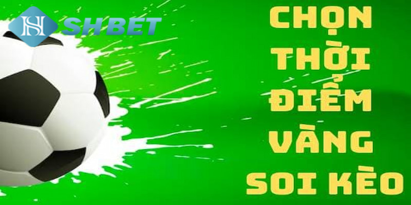 Banner www.bachia.vn