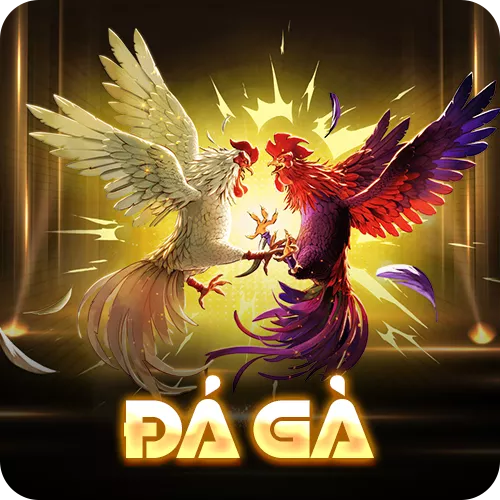 Banner www.bachia.vn