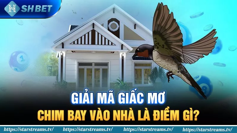 Banner www.bachia.vn