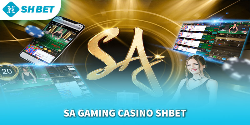 Banner www.bachia.vn