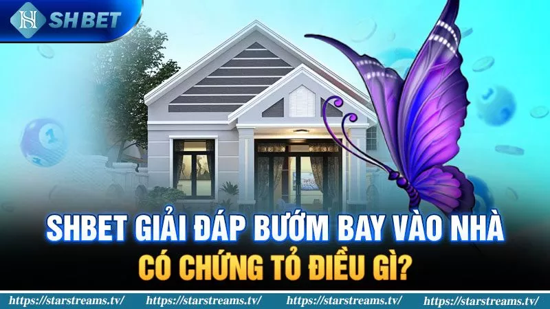 Banner www.bachia.vn