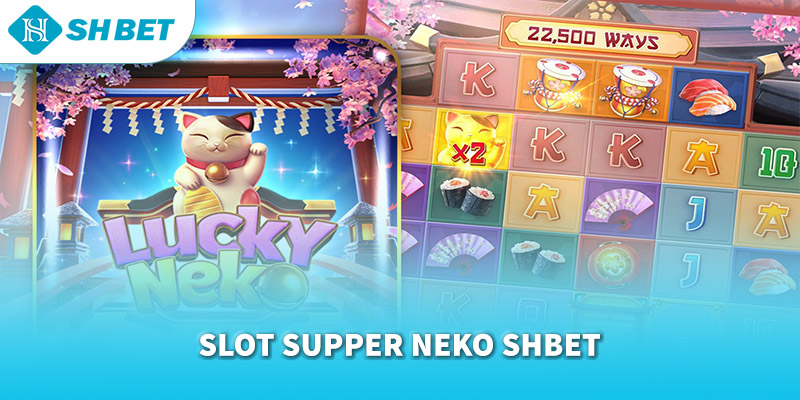 Banner www.bachia.vn