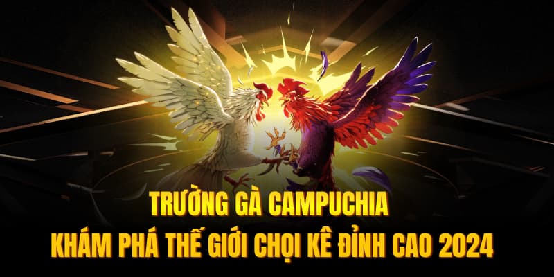 Banner www.bachia.vn