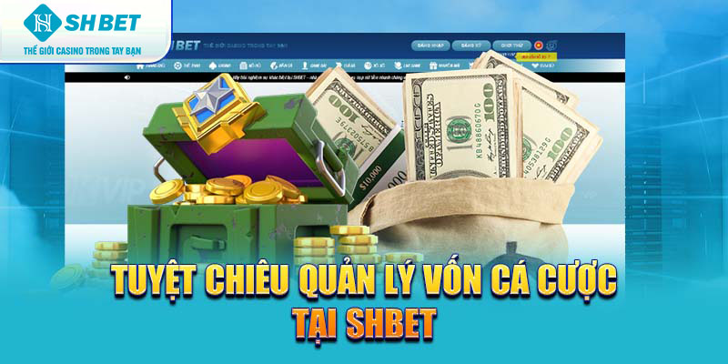 Banner www.bachia.vn