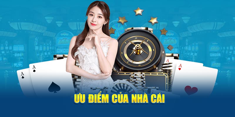 Banner www.bachia.vn